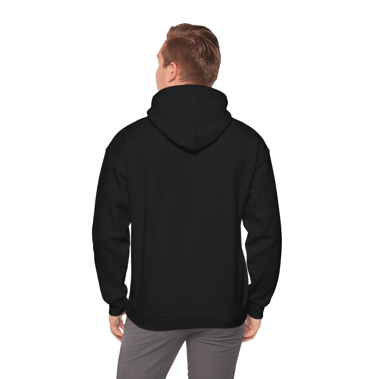 Unisex Heavy Blend™ Hooded Sweatshirt "We Are Not Going Back: Harris for President 2028"