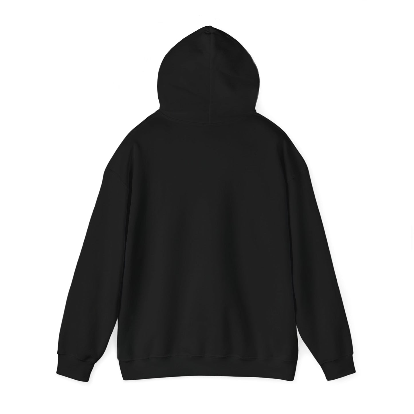 Unisex Heavy Blend™ Hooded Sweatshirt "We Are Not Going Back: Harris for President 2028"